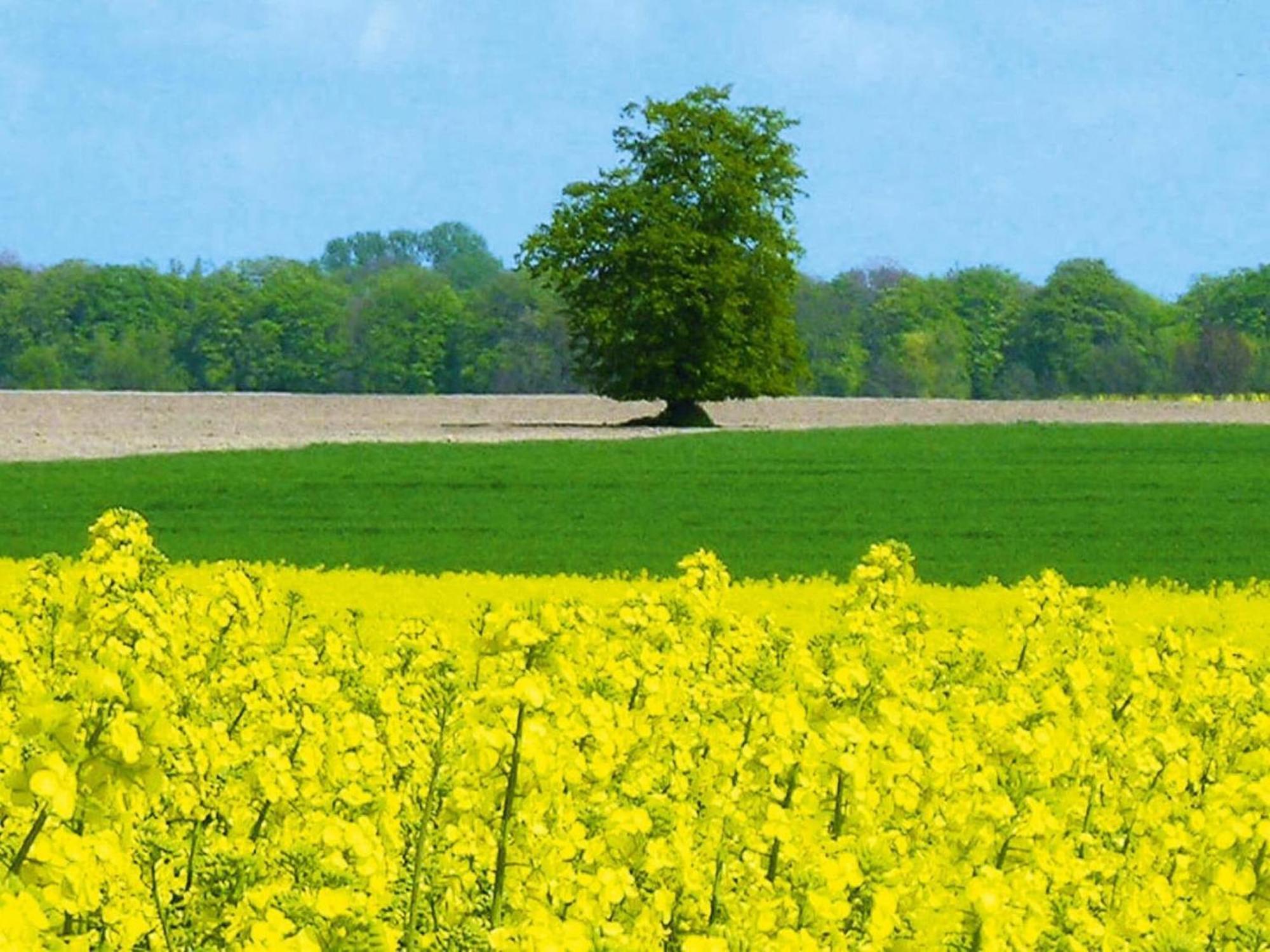 Ferienwohnung In Schwerin Schwerin  Exteriér fotografie
